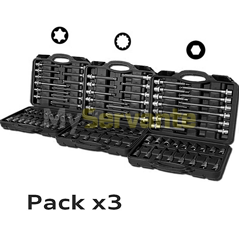 Pack De 3 Mallettes - Embouts 1/2 - Torx, Allen Et XZN 12 Pans